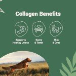 Natural Air-Dried Pork & Beef Dog Treats