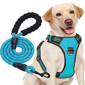 Haapaw Reflective No Pull Dog Harness & Lead