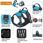 Haapaw Reflective No Pull Dog Harness & Lead