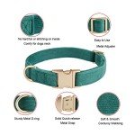 Ultra-Soft Cotton Dog Collar for Small Dogs