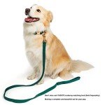 Ultra-Soft Cotton Dog Collar for Small Dogs