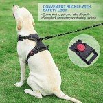 Haapaw Reflective No Pull Dog Harness & Lead