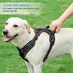 Haapaw Reflective No Pull Dog Harness & Lead