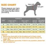 Haapaw Reflective No Pull Dog Harness & Lead