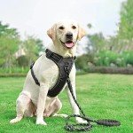 Haapaw Reflective No Pull Dog Harness & Lead
