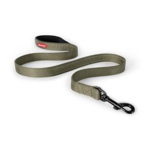 EzyDog Essential Training Lead with Padded Handle