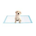 AllPetSolutions Disposable Puppy Training Pads - 100 Pack