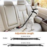 Eyein 2-in-1 Adjustable Dog Car Seat Belt
