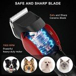 Rechargeable Low Noise Pet Grooming Clippers Set