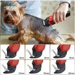 Rechargeable Low Noise Pet Grooming Clippers Set