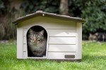 Rosewood Brown Outdoor Pet House and Shelter