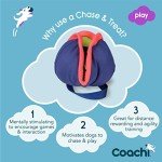 Interactive Treat Toy for Dogs - Fun & Engaging