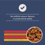 Amazon Complete Adult Dog Food, Meat Gravy, 4.8kg