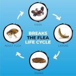 Natural Flea & Tick Repellent for Dogs - 50ml