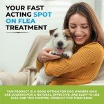 Natural Flea & Tick Repellent for Dogs - 50ml