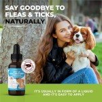 Natural Flea & Tick Repellent for Dogs - 50ml