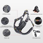 Suredoo No-Pull Dog Harness for All Sizes