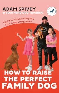 Train Your Family-Friendly Dog for a Happy Home