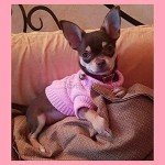 Cozy Knit Pink Winter Coat for Tiny Dogs