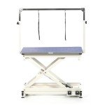 Electric Dog Grooming Table with H Frame - Blue