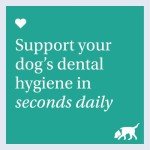 PetLab Co. Dog Dental Formula for Fresh Breath