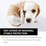 Flea and Tick Drops for Dogs and Cats - 30ML