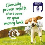 YuMOVE Joint Chews for Large Dogs - 30 Count