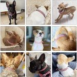 Cute Rhinestone Puppy Collar for Cats and Small Dogs