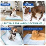 Puppy Training Pads - 50 Pack, Highly Absorbent