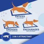 Puppy Training Pads - 50 Pack, Highly Absorbent