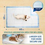 Puppy Training Pads - 50 Pack, Highly Absorbent