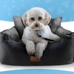 Furdreams Cozy Dog Car Seat for Small Pets