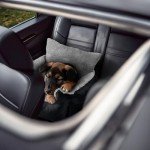 Furdreams Cozy Dog Car Seat for Small Pets