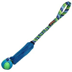 Durable Bungee Tug Toy for Interactive Dog Training