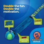 Durable Bungee Tug Toy for Interactive Dog Training