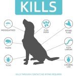 Natural Flea and Tick Treatment for Dogs, 3-Pack