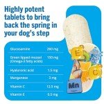 JointSure Dog Joint Supplements – 120 Tablet Formula