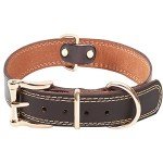 Adjustable Leather Dog Collar for All Breeds (Brown)