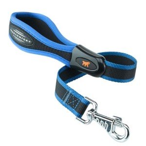 Padded Blue Dog Lead - 25mm x 55cm