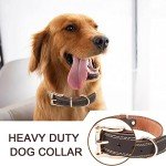 Adjustable Leather Dog Collar for All Breeds (Brown)