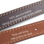 Adjustable Leather Dog Collar for All Breeds (Brown)
