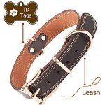 Adjustable Leather Dog Collar for All Breeds (Brown)