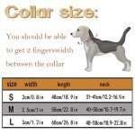 Adjustable Leather Dog Collar for All Breeds (Brown)