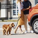 Adjustable Dog Seat Belt Harness with Leash