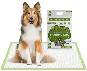 Pogi's Extra Large Absorbent Puppy Training Pads