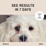 Eye Envy Tear Stain Wipes for Dogs - 60 Count