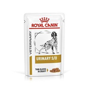 Royal Canin Urinary Health Wet Dog Food 48-pack