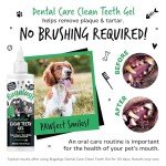 Bugalugs Dental Care Gel for Fresh Teeth