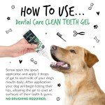Bugalugs Dental Care Gel for Fresh Teeth