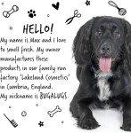 Bugalugs Ear Cleaner for Dogs & Cats 250ml